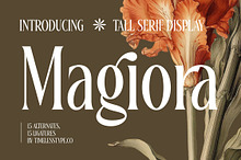 Magiora Tall Modern Serif Font