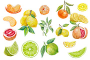 Citrus set, Watercolor clipart., an Object Illustration by AkvarelRiver (Thumbnail 2 of 10)