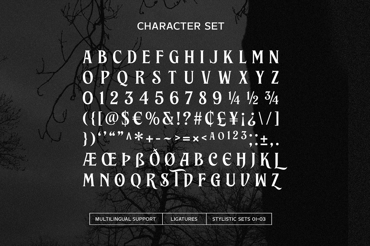 Brillante Siempre - Fancy Serif, a Serif Font by Arterfak Project (Photo 12 of 12)