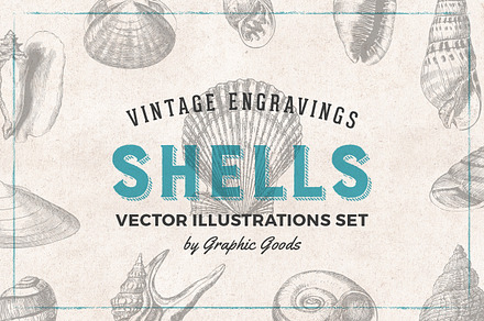 Shells - Vintage Engravings Set