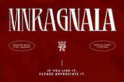 MNRagnala, a Serif Font by Mantra Naga (Thumbnail 16 of 16)