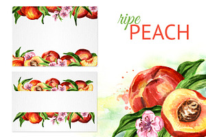 Peaches. Watercolor Collection