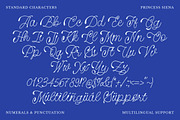 Princess Siena - A Whimsical Script, a Handwritten Font by Get Studio (Thumbnail 12 of 13)