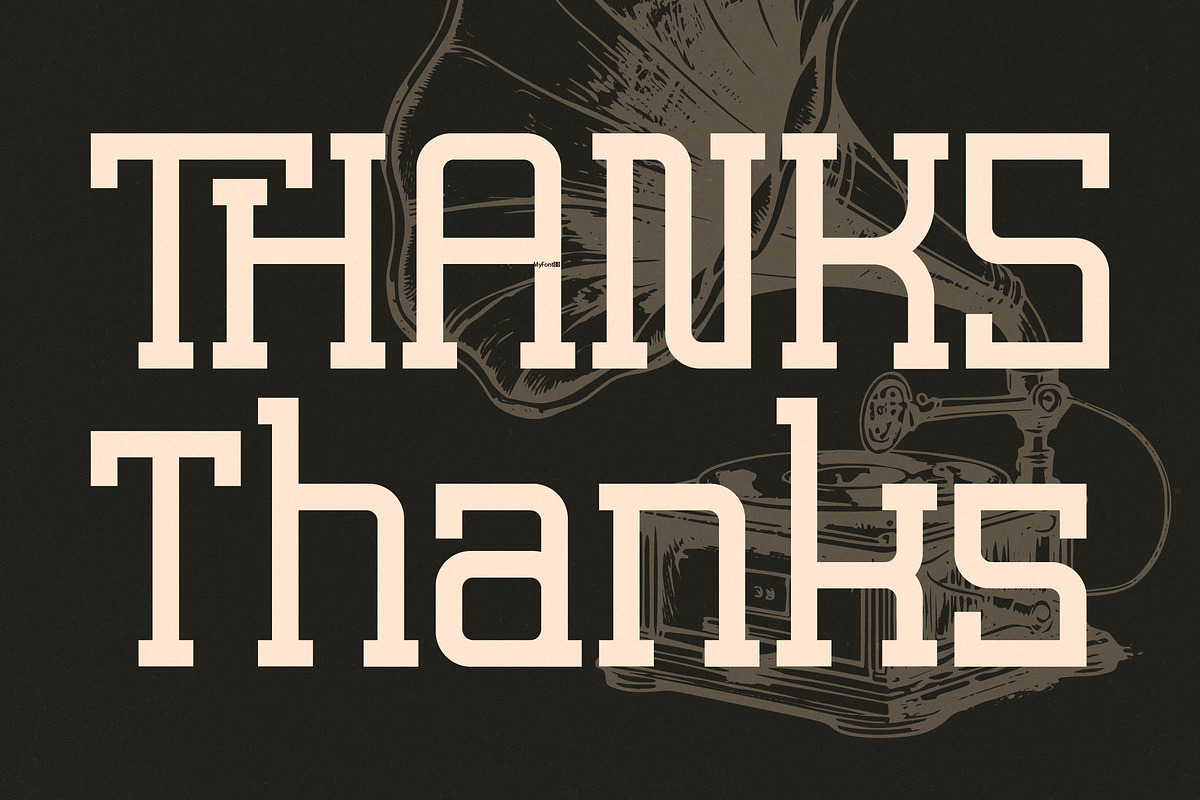 Lastime Echoes Display Slab Serif, a Serif Font by Letterena Studios (Photo 15 of 15)