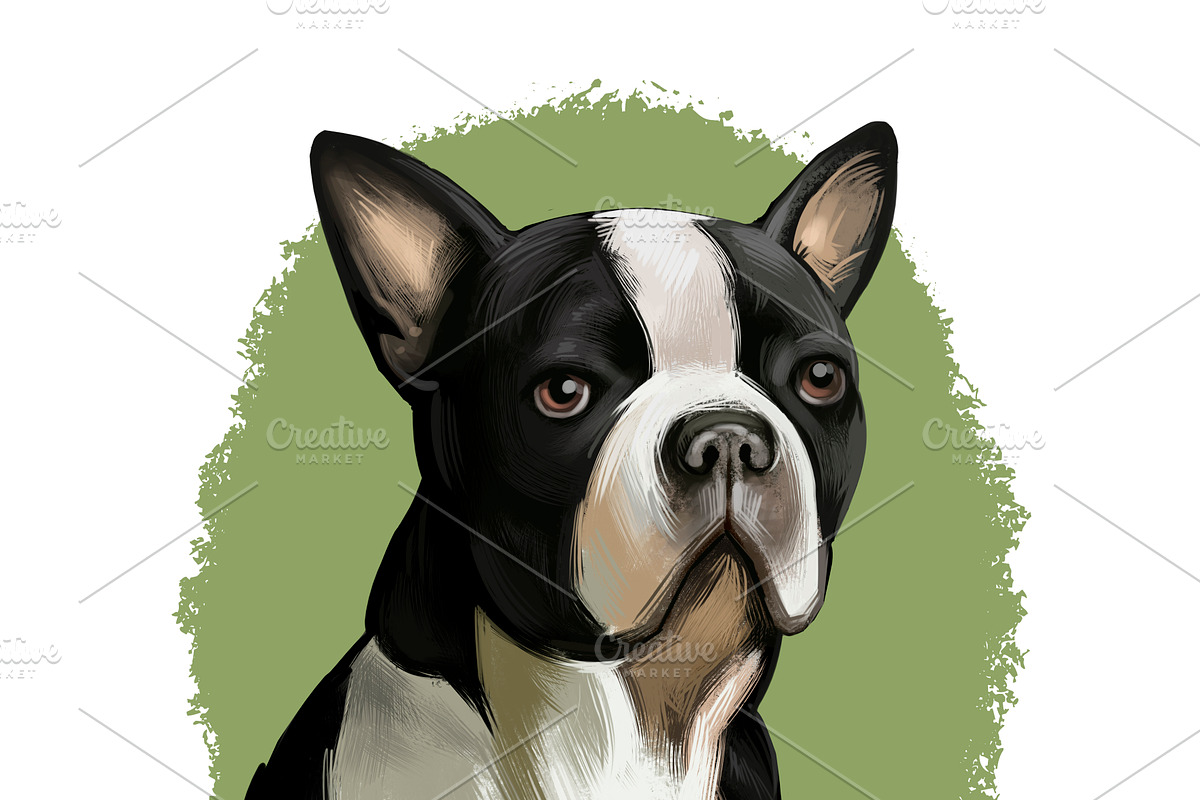 Most Popular Dog Breeds Pet Portrait, an Animal Illustration by Dneprstock (Photo 5 of 23)