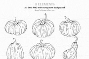 Hand Drawn Pumpkin SVG arrangements, an Object Graphic by CaraulanStore (Thumbnail 4 of 8)