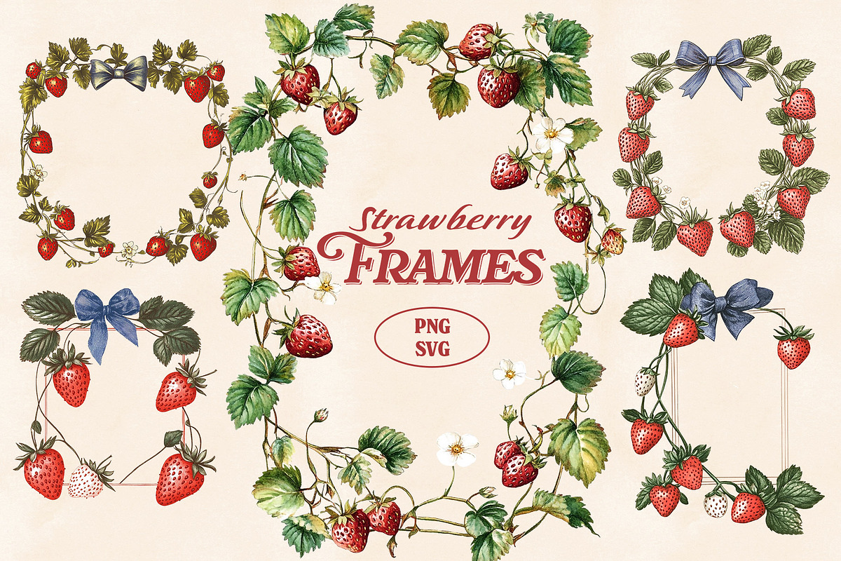 Vintage Fruit & Berry Bundle PNG SVG, a Food Illustration by Marie T (Photo 5 of 17)