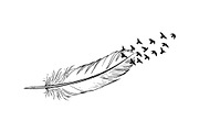 Boho Feather Silhouette Vector, an Object Graphic by jahid234 (Thumbnail 34 of 51)
