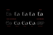 Erotique Sans - 10 fonts, a Sans Serif Font by Zetafonts (Thumbnail 8 of 18)