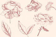 Vintage Bundle- 250 vector elements, an Object Graphic by TatianaCociorva (Thumbnail 3 of 19)