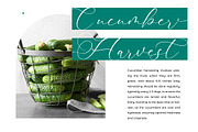 Avonta Qintani Stylish Calligraphy, a Script Font by stylishtype.co (Thumbnail 10 of 20)