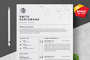 Resume/CV Bundle | 200+ for $29, a Resume Template by ResumeInventor (Thumbnail 90 of 207)