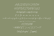 Balioo Rene - Script Monoline font, a Script Font by GFRcreative (Thumbnail 5 of 6)