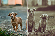 Pet Photoshop Actions Collection, an Action Add-On by Creativetacos (Thumbnail 7 of 7)
