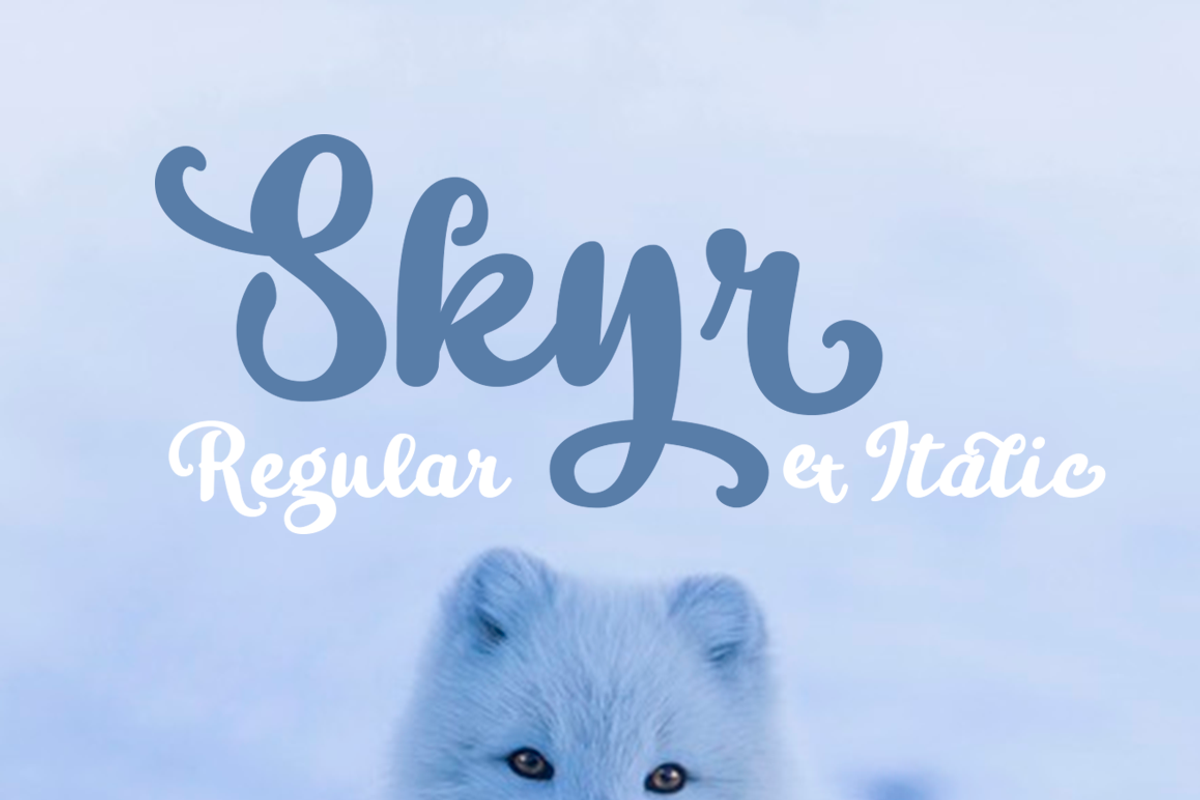 Skyr Pro Family preview 3