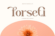 Forseti - Modern Serif Font, a Serif Font by Flawless And Co (Thumbnail 1 of 12)