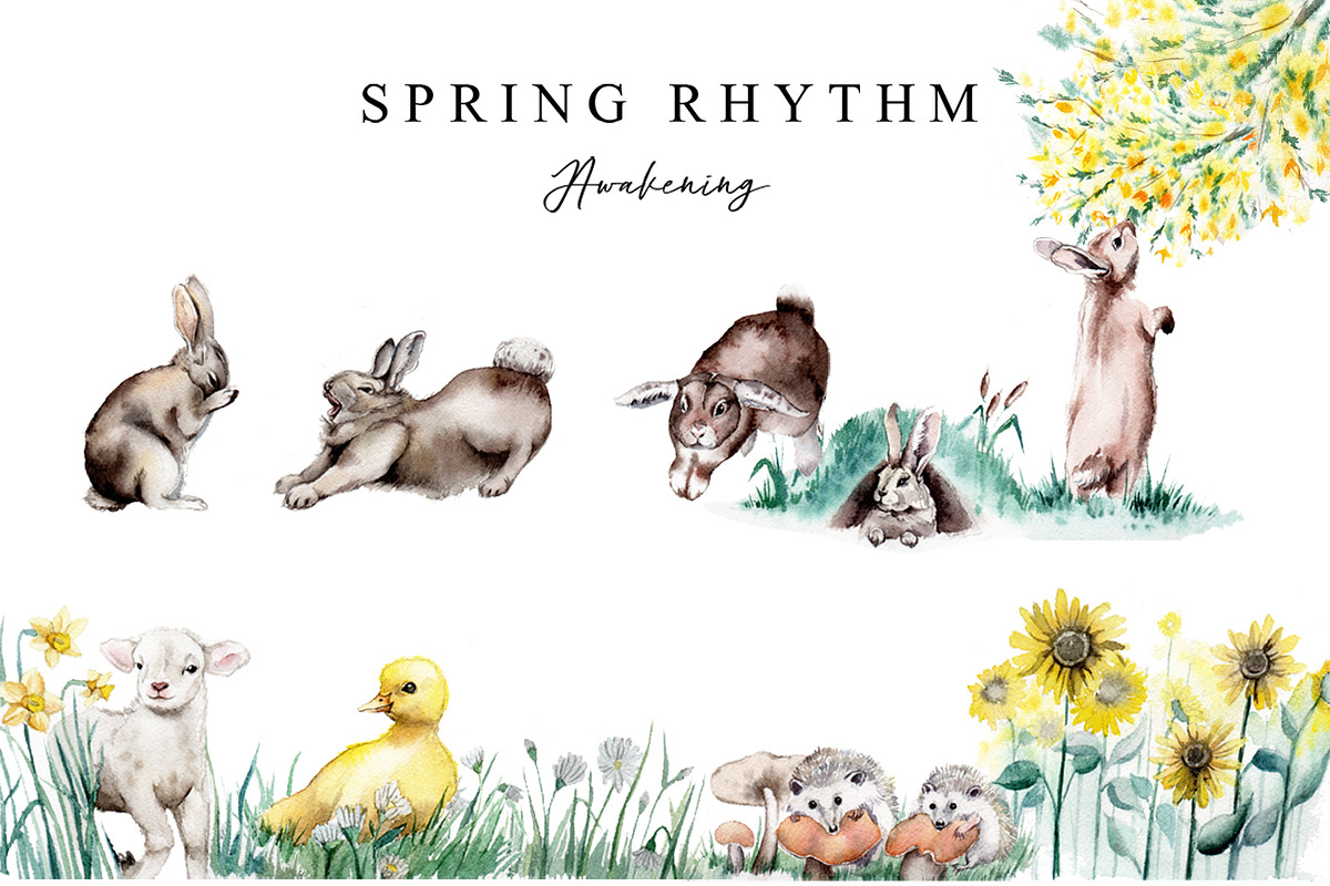 Spring rhythm-watercolor set, an Animal Illustration by Amely.Art