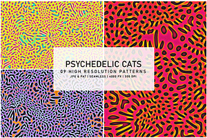 Psychedelic Cats