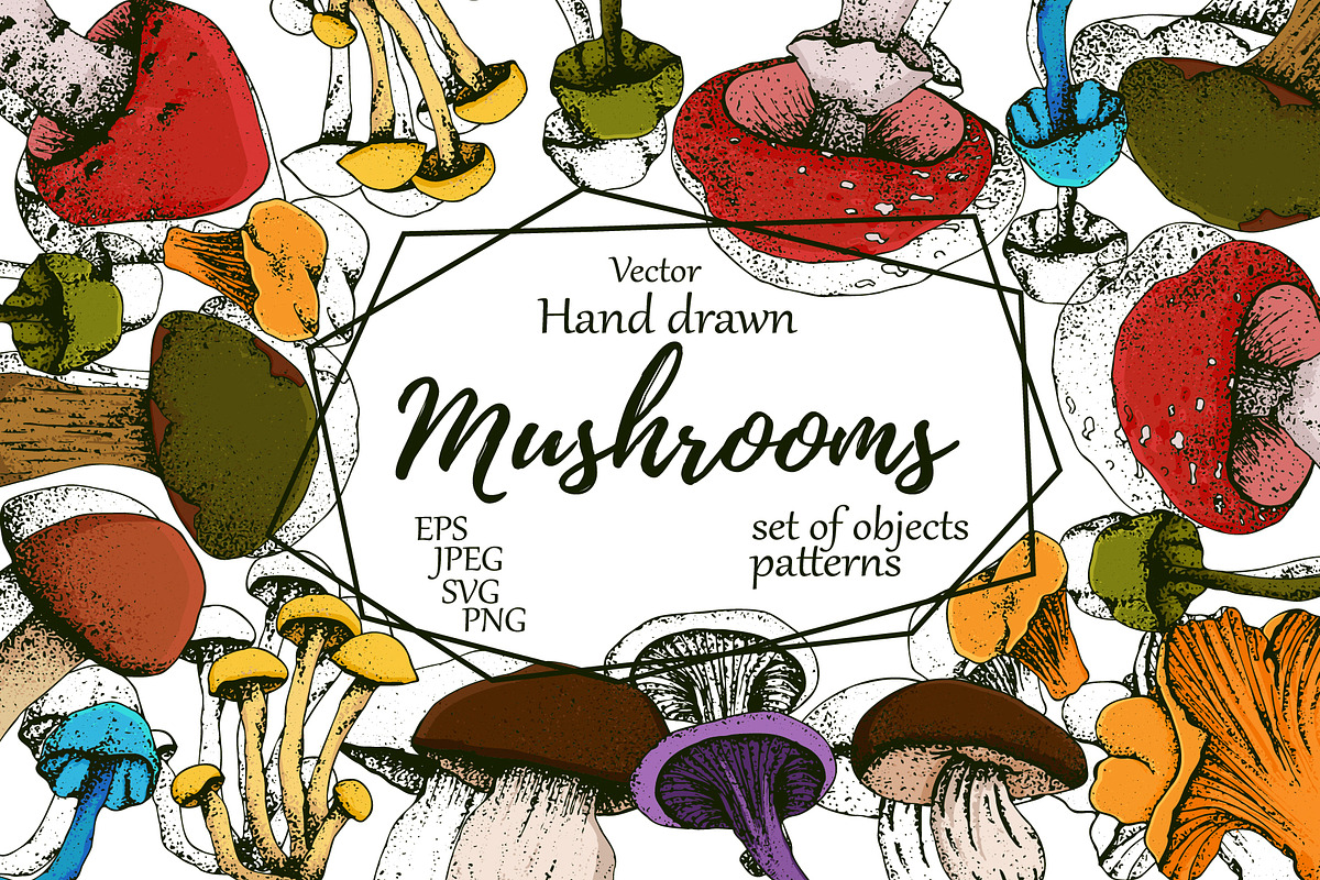 Hand drawn vintage mushrooms, a Food Illustration by Elena Mykhailenko (Photo 1 of 5)