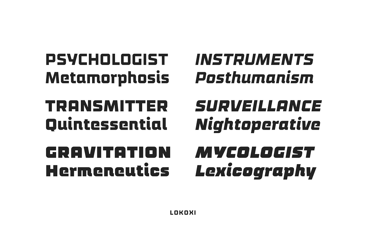 Lokoxi - Full Family, a Sans Serif Font by Anfound Type (Photo 13 of 14)