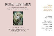 Barn Own in Ferns Illustration, an Animal Illustration by The Dutch Lady Designs (Thumbnail 3 of 4)