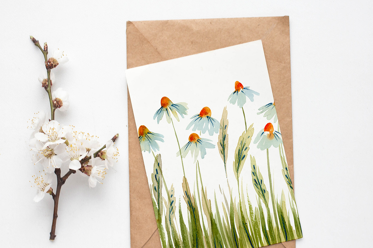 Watercolor Flowers - Chamomile, an Illustration by swiejko (Photo 3 of 6)