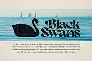 Nambya - Sharp Serif Typeface, a Serif Font by Dharmas Foundry (Thumbnail 11 of 15)