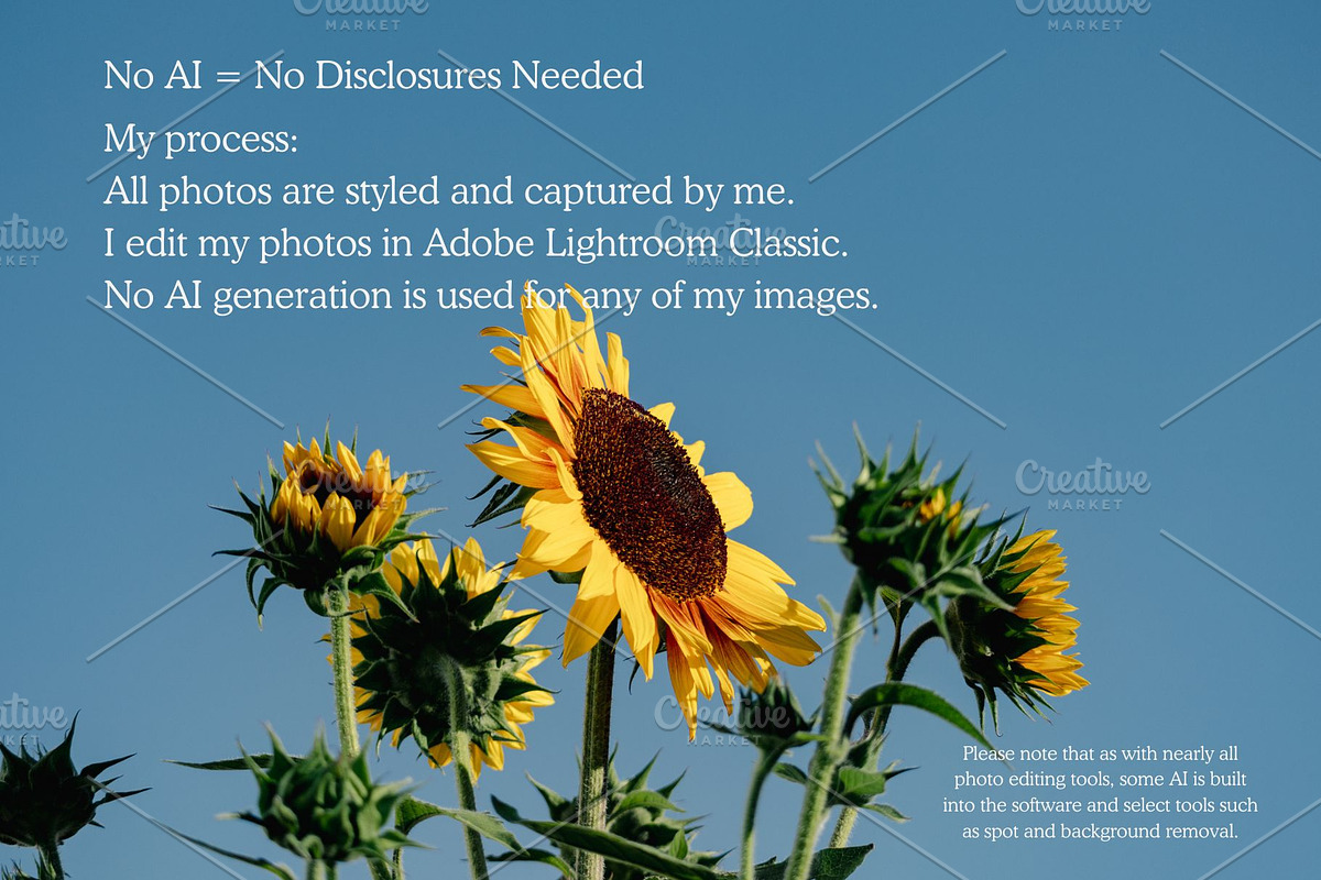Sunflower Field Sky Background, a Background Photo by CreatingYOU.®, Lori Rice (Photo 2 of 3)