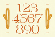 Giqer Western Vintage Serif, a Serif Font by timelesstype.co (Thumbnail 17 of 20)