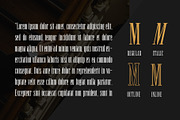 Newston - Stylish Serif Font, a Serif Font by Arterfak Project (Thumbnail 4 of 11)