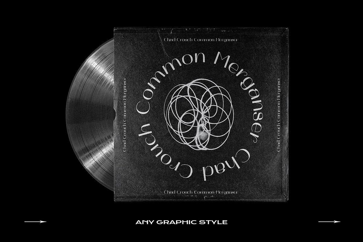 Vinyl Mockup Bundle Template Record, a Product Mockup by PrintPixel (Photo 41 of 56)