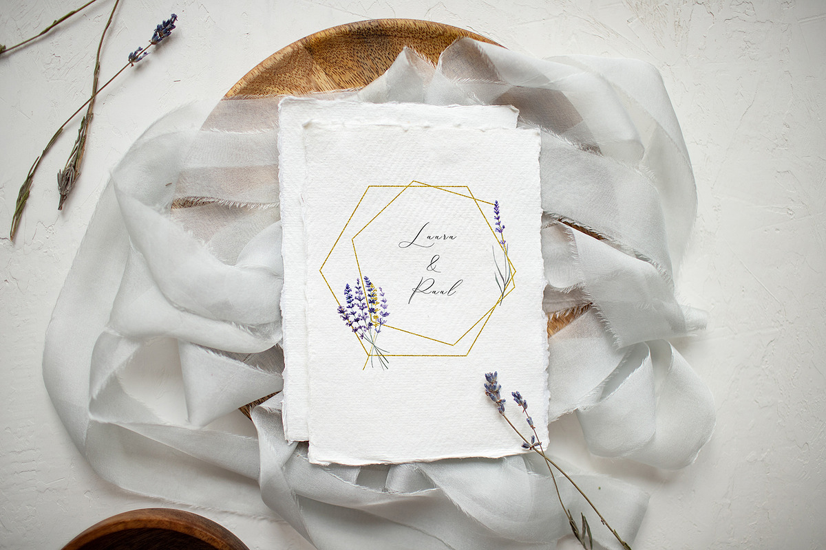 Love Lavender Set, an Illustration by Olga Koelsch (Photo 8 of 11)
