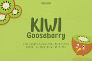 Kiwi Gooseberry Font Family, a Font by LTNG STUDIO (Thumbnail 1 of 9)