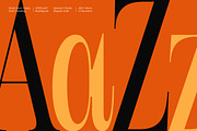 Bargckiss Contemporary Serif Display, a Serif Font by timelesstype.co (Thumbnail 8 of 10)