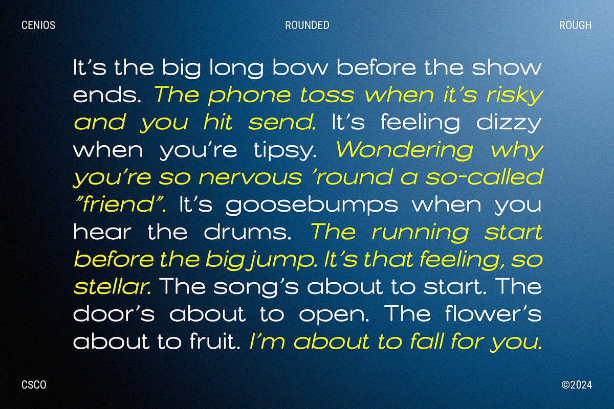 Cenios Rounded Rough, a Sans Serif Font by Craft Supply Co. (Photo 2 of 8)