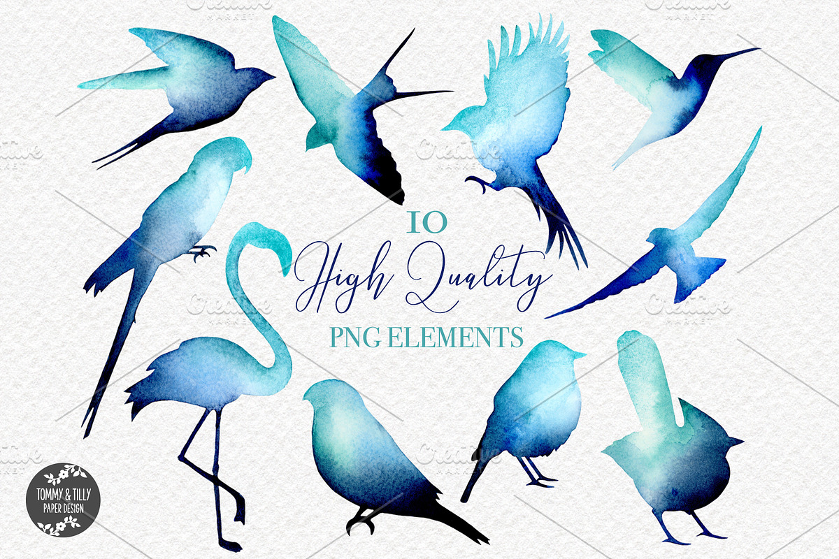 Bird Silhouettes Watercolour Clipart, an Illustration by Tommy & Tilly Design (Photo 2 of 3)