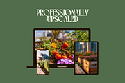 90 Community Garden Stock Photos, a Nature Photo by Incomelion (Thumbnail 12 of 17)