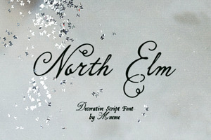 North Elm - Decorative Script Font, a Script Font by Mneme