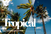 Tropical Presets for Lightroom, a Preset Add-On by Hubzway (Thumbnail 1 of 5)
