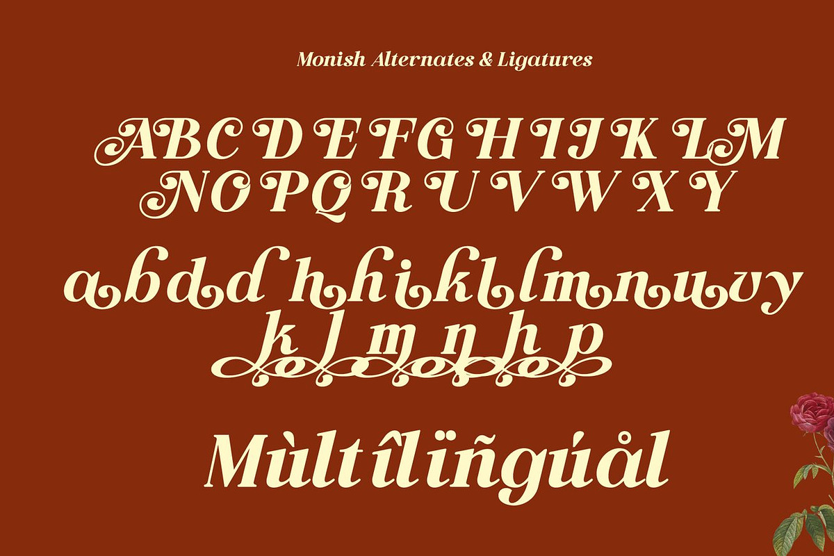 Venira - Modern Serif, a Serif Font by Luna Shop (Photo 3 of 10)