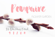 Miana Font, a Script Font by SophieSaxo (Thumbnail 2 of 7)