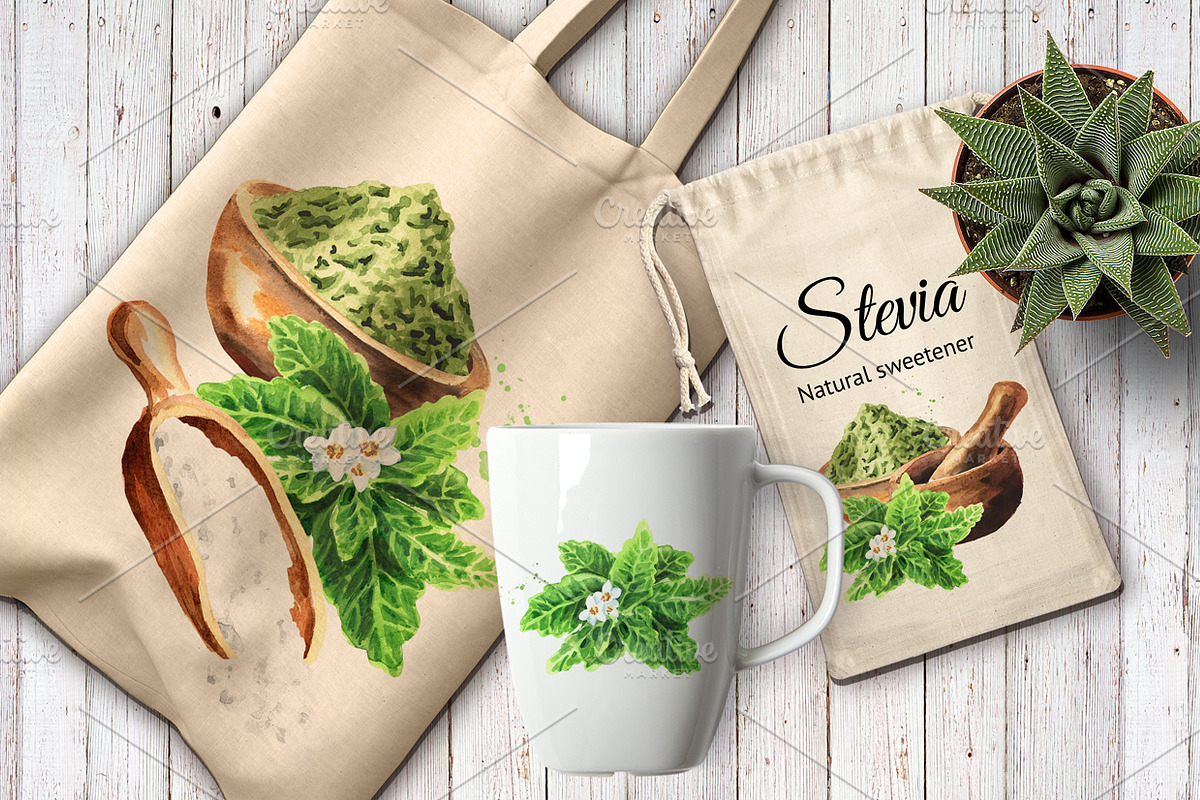 Stevia. Watercolor collection, a Healthcare Illustration by Daria Ustiugova (Photo 6 of 6)