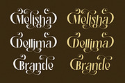 Halind Modern Elegant Serif, a Serif Font by Alfinart (Thumbnail 6 of 10)