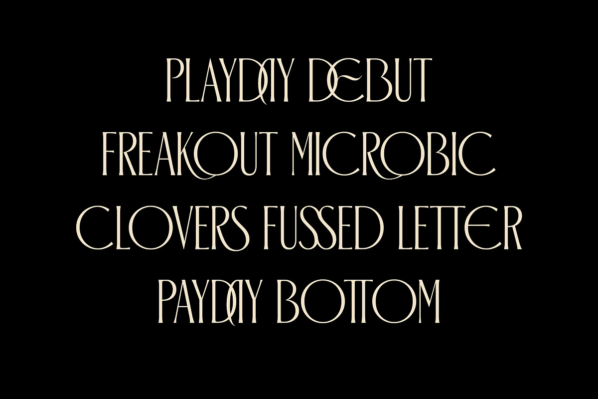 ED Checa - Elegant Serif, a Serif Font by Emyself Design (Photo 6 of 9)