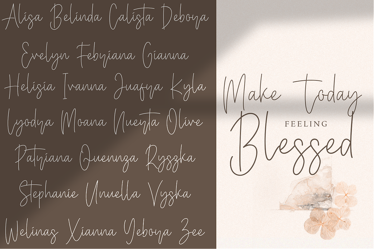 Baster Monky - Monoline Script Font preview 4