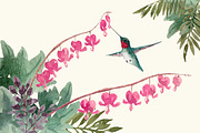 Hummingbird Gardens - Watercolor Set, an Illustration by amyxbao (Thumbnail 5 of 8)