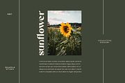 Mattire - Modern Serif Typeface, a Sans Serif Font by Dharmas Foundry (Thumbnail 5 of 12)