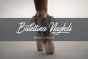 Ahtohalland elegant signature script, a Script Font by great19 (Thumbnail 3 of 12)