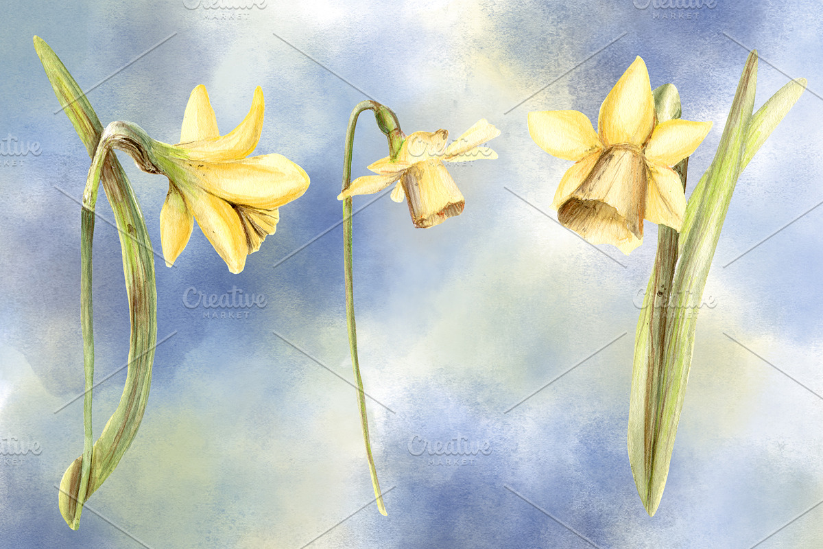 Spring Blossom Watercolor Flowers, an Illustration by Sha1nee (Photo 3 of 4)