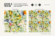 Citrus mood-summer seamless patterns, a Pattern Graphic by Pamyatka Shop (Thumbnail 11 of 13)